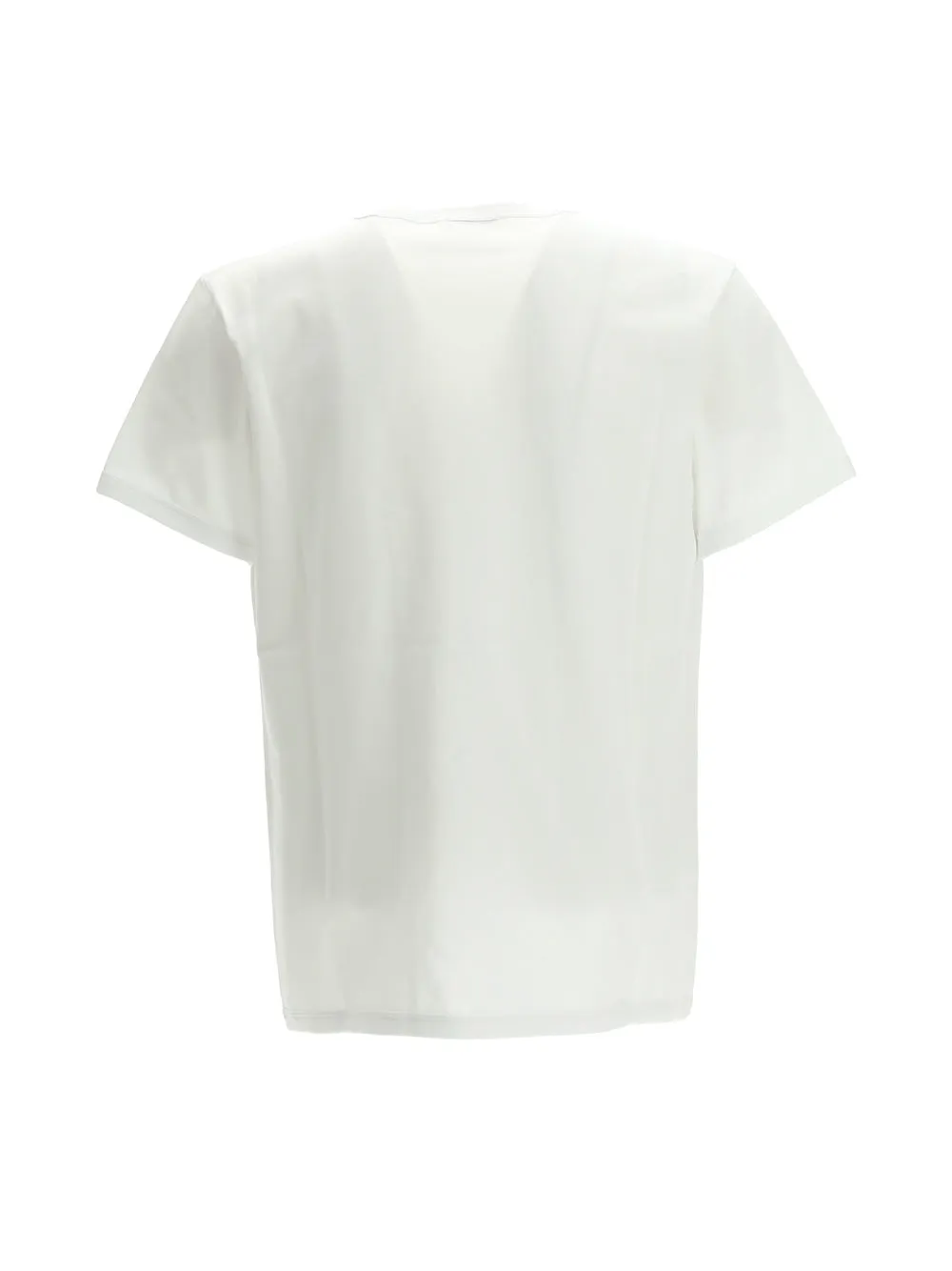 Alexander McQueen Skull Print Crewneck T-Shirt