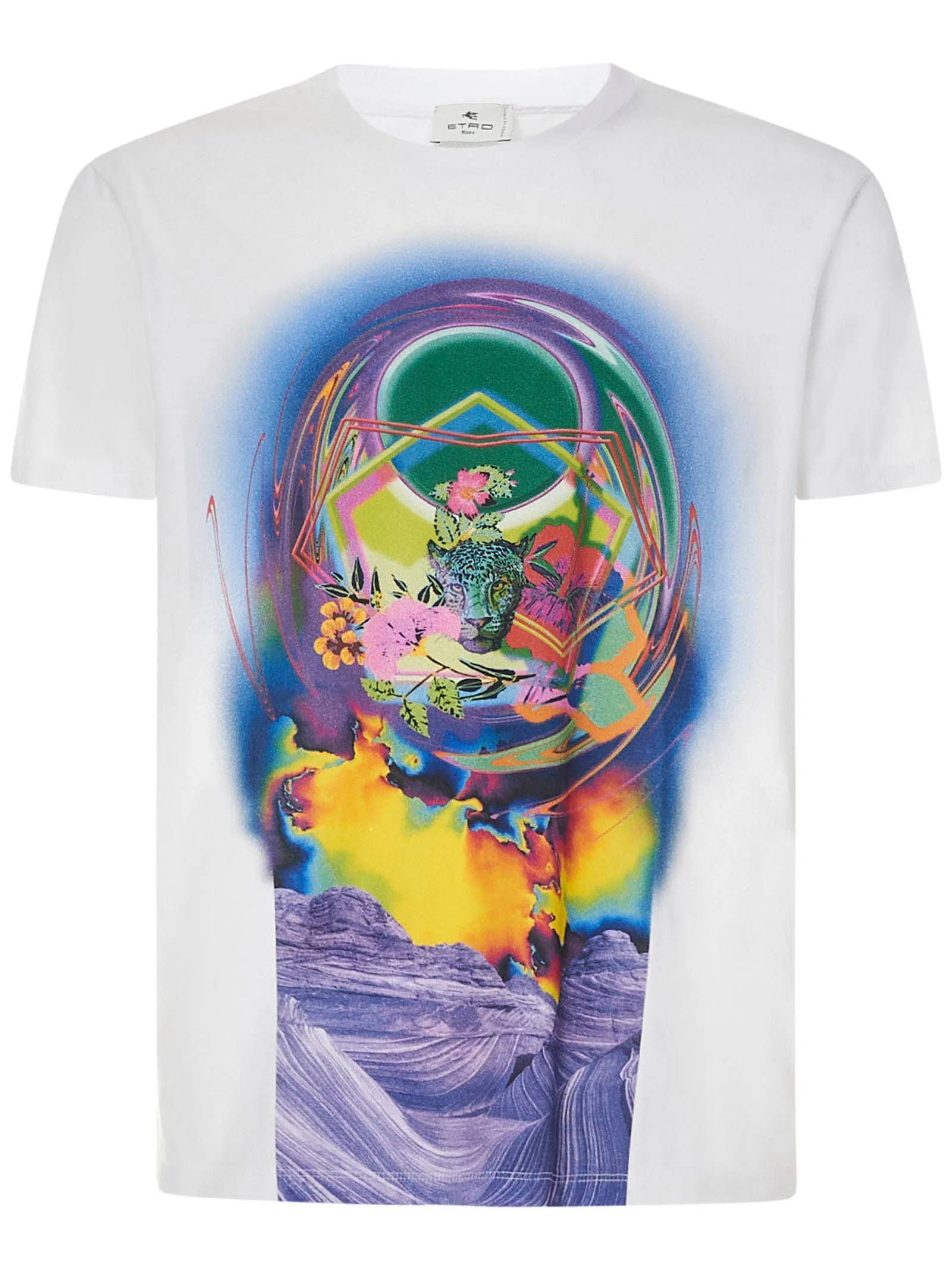 Etro Graphic Print Crewneck T-Shirt