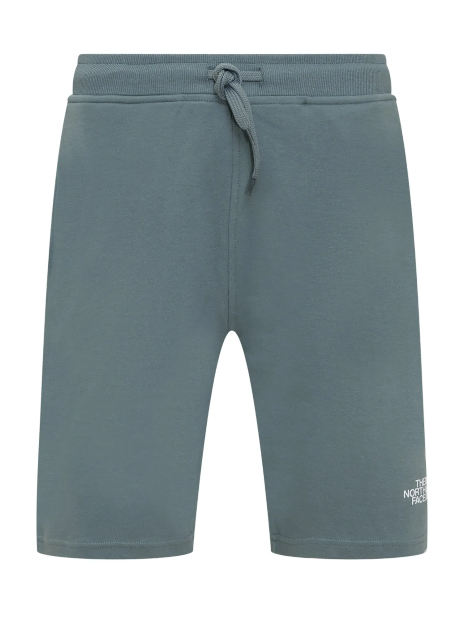 The North Face Logo Printed Drawstring Shorts