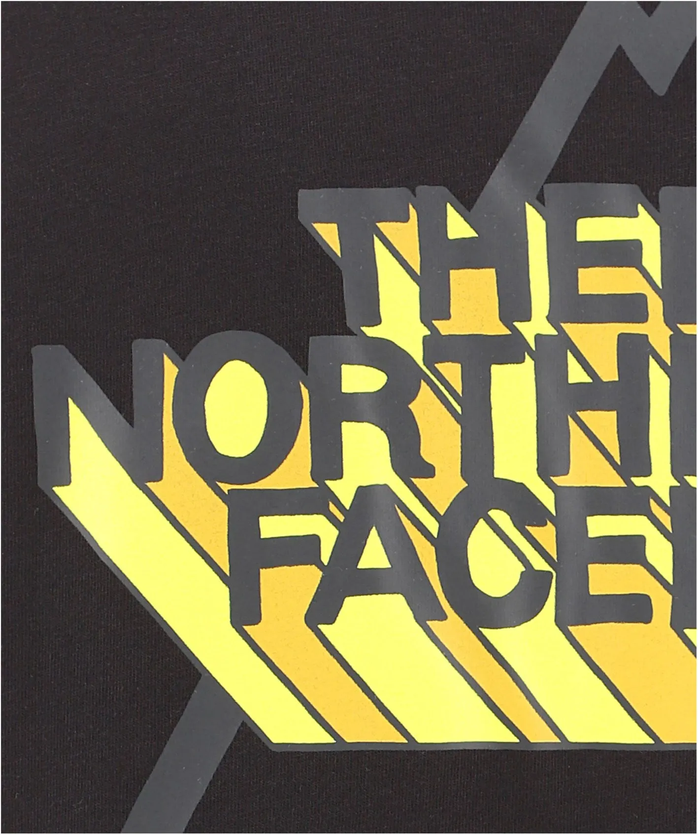 The North Face Logo Printed T-Shirt