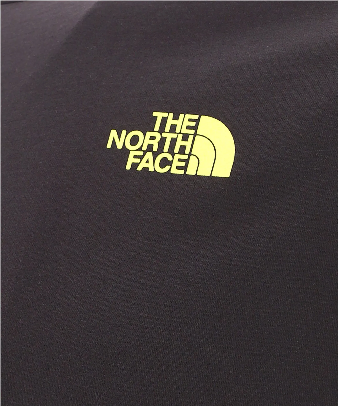 The North Face Logo Printed T-Shirt